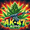 AK-47 Auto