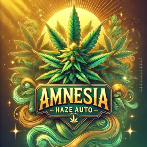 Amnesia Haze Auto