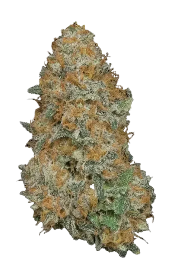 Apple Fritter Autoflower