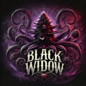 Black Widow