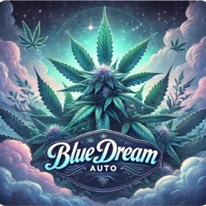 Blue Dream Auto