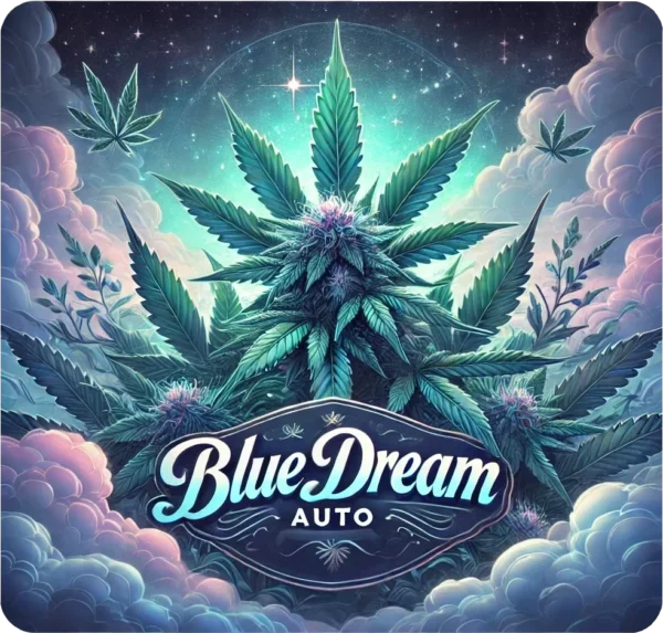 Blue Dream Auto