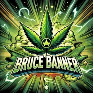 Bruce Banner Fem