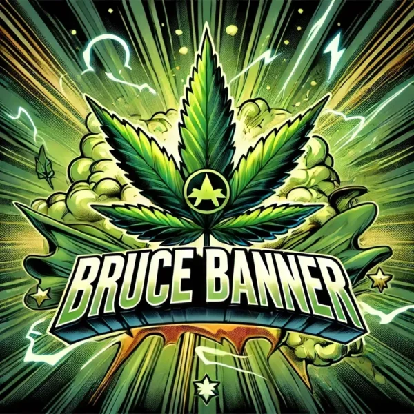 Bruce Banner Fem
