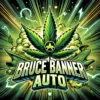 Bruce Banner