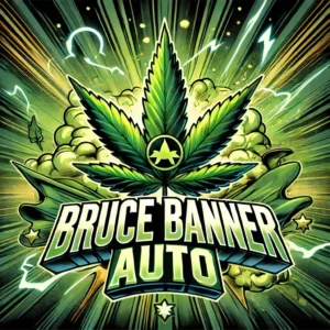 Bruce Banner