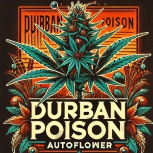 Durban Poison Autoflower illustrated strain label with bold cannabis design – MJ Seed Shop