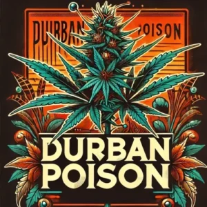 Retro-style Durban Poison cannabis strain artwork with bold leaves and vintage signage – MJ Seed Shop