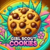 Girl Scout Cookies Fem