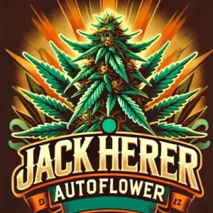 Jack Herer Autoflower strain logo with cannabis art and bold typography