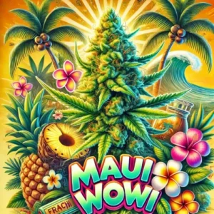Tropical-themed Maui Wowie Feminized cannabis illustration with palm trees and fruit
