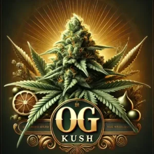 OG Kush Feminized strain artwork with glowing cannabis bud, citrus slices, and golden background elements