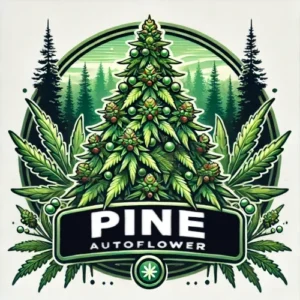 Pine Autoflower strain artwork with pine tree-shaped cannabis plant and forest background