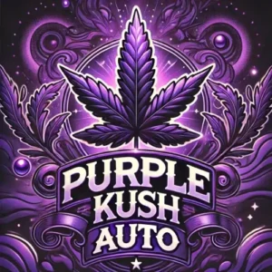 Purple Kush Autoflower cannabis strain artwork with glowing purple leaf and ornate background design