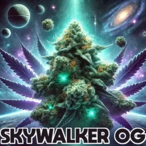 Skywalker OG Feminized cannabis strain artwork with glowing bud, galaxy background, and space elements