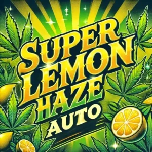 Super Lemon Haze Autoflower artwork with cannabis leaves, lemon slices, and bold golden text