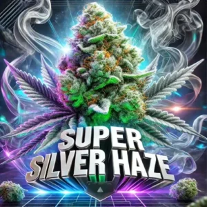 Super Silver Haze Feminized strain artwork with frosty cannabis bud, neon lights, and smoke effects