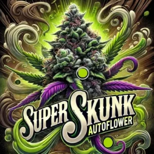 Super Skunk Autoflower strain artwork with vibrant green and purple leaves and a frosty cannabis bud