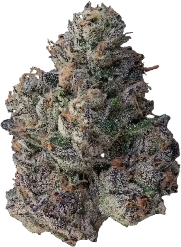 Girl Scout Cookies Auto - Image 3