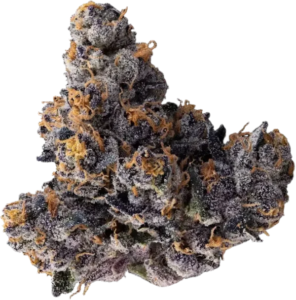 Granddaddy Purple Auto - Image 2
