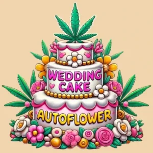 Wedding Cake Autoflower strain illustration with decorated cake, cannabis leaves, and colorful flowers