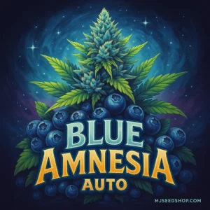 Blue Amnesia Autoflower cannabis strain illustration with blue glow and frosty buds